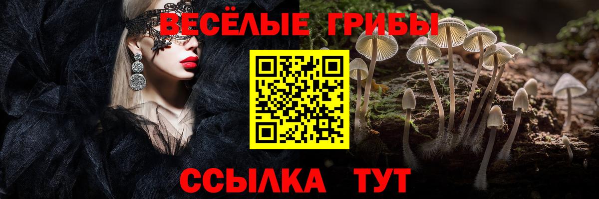 Луга  Галлюциногенные грибы мухоморы  Вход с VPN 