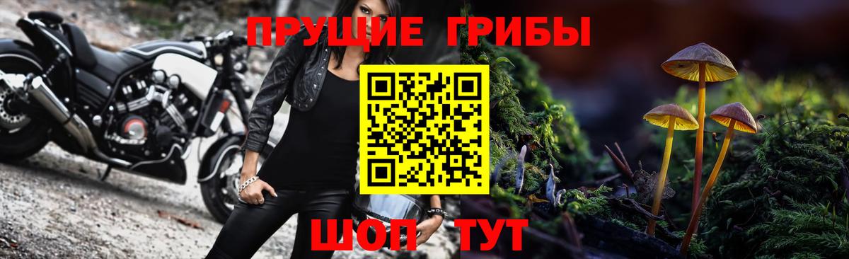 Галлюциногенные грибы GOLDEN TEACHER Луга